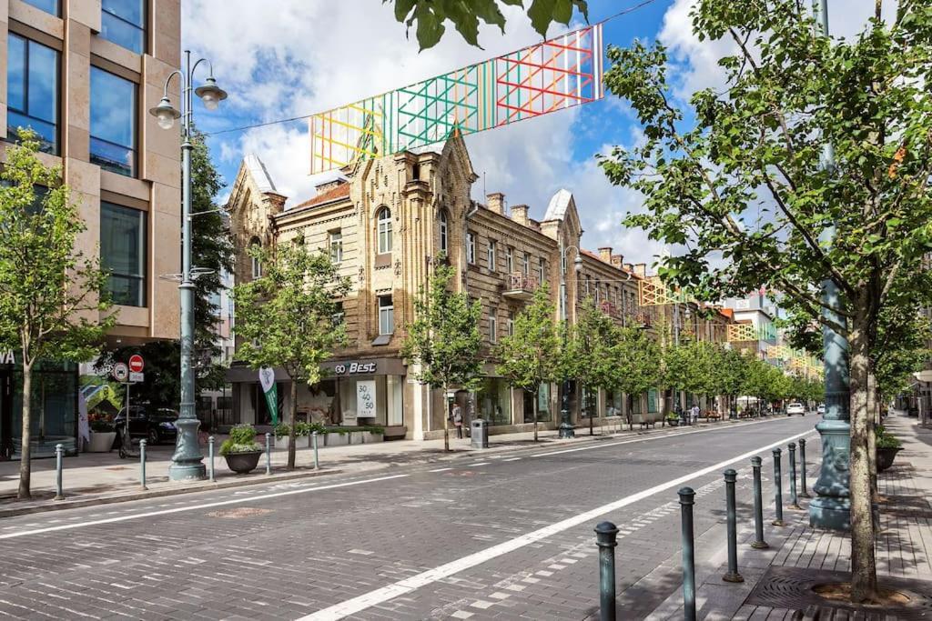 Luxury Apartment In Gedimino Av. 维尔纽斯 外观 照片