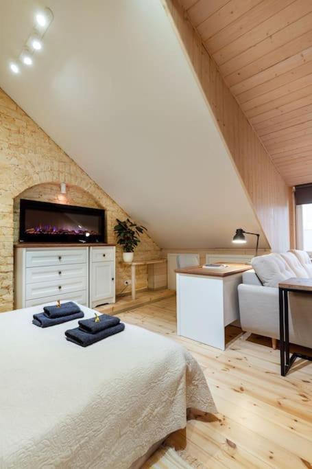 Luxury Apartment In Gedimino Av. 维尔纽斯 外观 照片