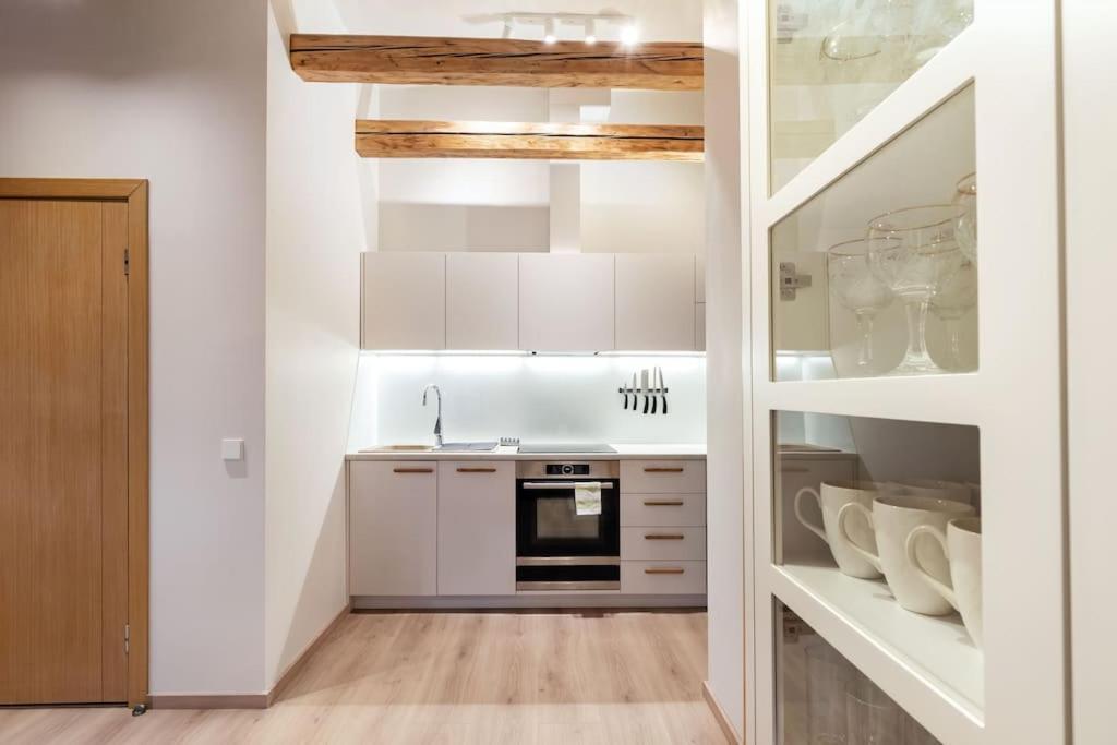 Luxury Apartment In Gedimino Av. 维尔纽斯 外观 照片