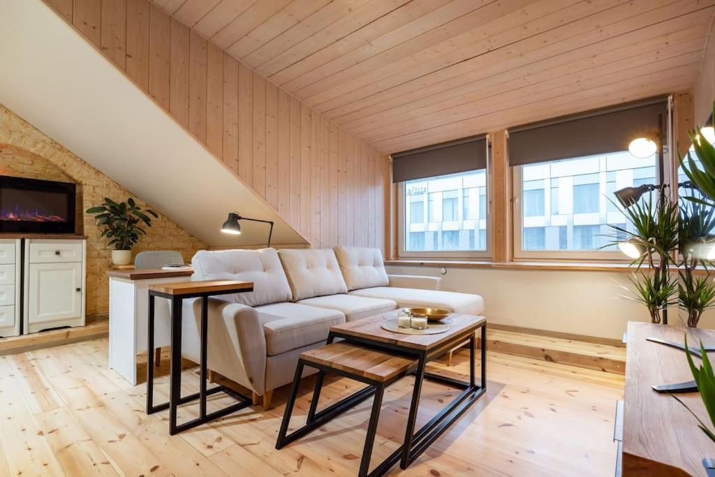 Luxury Apartment In Gedimino Av. 维尔纽斯 外观 照片