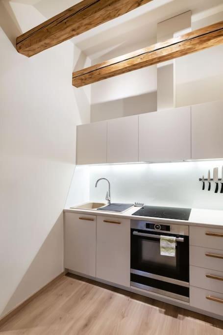 Luxury Apartment In Gedimino Av. 维尔纽斯 外观 照片
